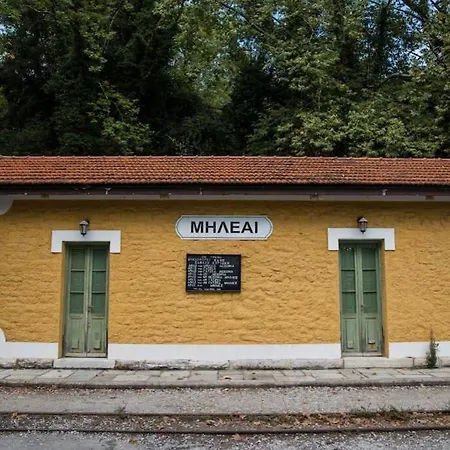 Villa-shelter Surrounded By Olives, Kato Gatzea, Pilio